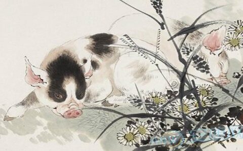 五福生肖是哪些生肖?
