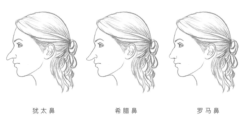 你的鼻子长的好不好,要从这三方面来看 图片8 你的鼻子长的好不好,要从这三方面来看 图片7