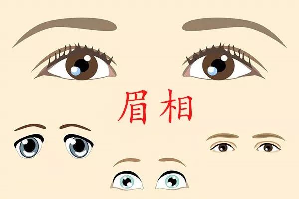 相亲必看、通过自己的长相解读另一半的模样 图片9