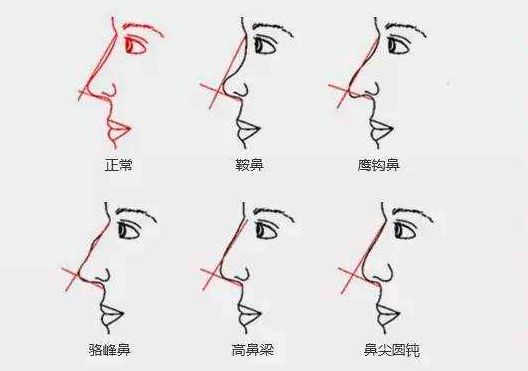 相亲必看、通过自己的长相解读另一半的模样 图片13