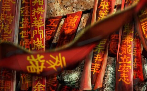 12生肖己亥猪年丙寅月运