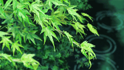 元宵节,以下两个生肖宜平稳度过 图片4 元宵节,以下两个生肖宜平稳度过 图片3