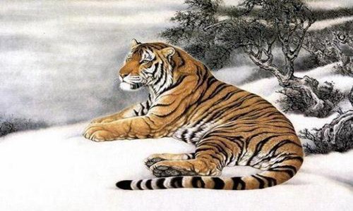2020年22岁属什么生肖？运势如何？ 图片1