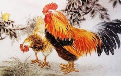 这些生肖女招财旺夫不可不知！