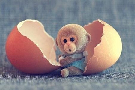 属猴金牛座2021年运势 他们会有正财运吗 图片3