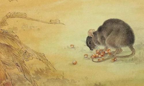 最容易出富豪生肖有哪些? 图片4 最容易出富豪生肖有哪些? 图片3
