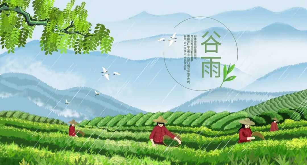 谷雨开运养生法 图片5