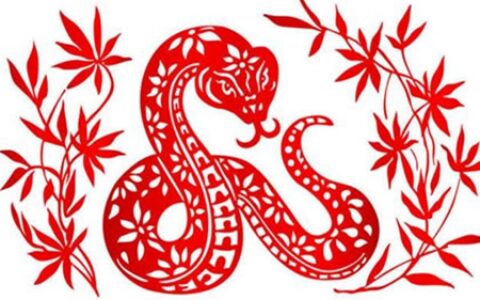生肖蛇的几月生的运势好 2020生肖蛇下半年运势
