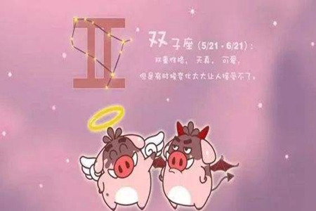 双子座2021年事业运势如何 他们能够有收获吗 图片3