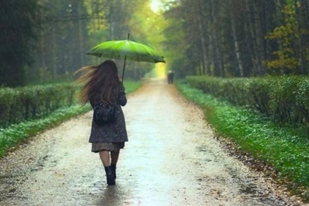 梦见淋雨是什么意思 它是好运的预兆吗 图片6 梦见淋雨是什么意思 它是好运的预兆吗 图片5