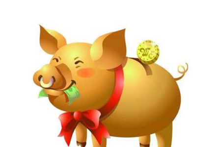 生肖猪2021年的运势 他们会达到事业巅峰吗 图片1