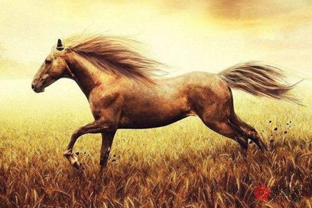 生肖马十二月运势 他们会收获满满的财富吗 图片3