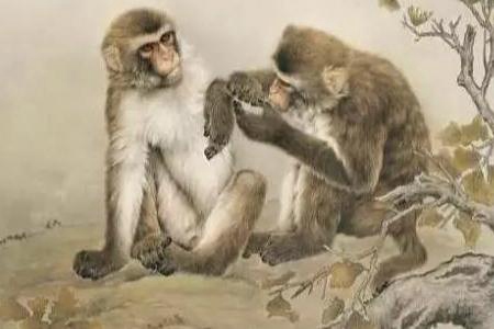 十二生肖运势之8月17日，猴、鸡、鼠大吉！ 图片1
