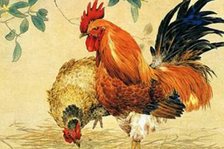 十二生肖运势之8月17日，猴、鸡、鼠大吉！ 图片3