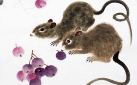 十二生肖运势之8月17日，猴、鸡、鼠大吉！