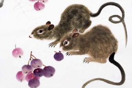 十二生肖运势之8月17日，猴、鸡、鼠大吉！ 图片5