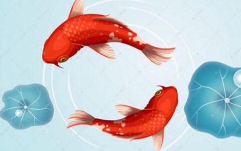 梦见鲤鱼是什么预兆 你的人生将会跃龙门吗