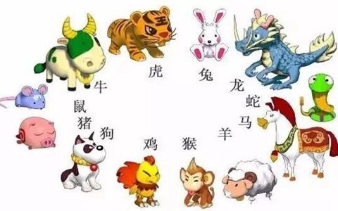 十二生肖的排列顺序
