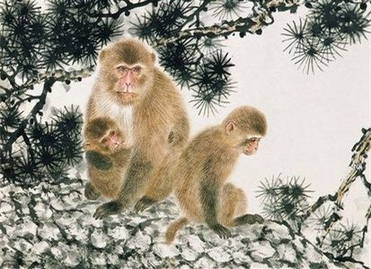 十二生肖运势之8月6日，牛、鸡、猴大吉！ 图片5