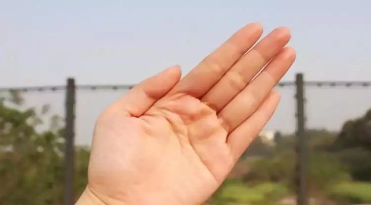 这几种手相特征的女人，旺夫益子，福运昌隆 图片3
