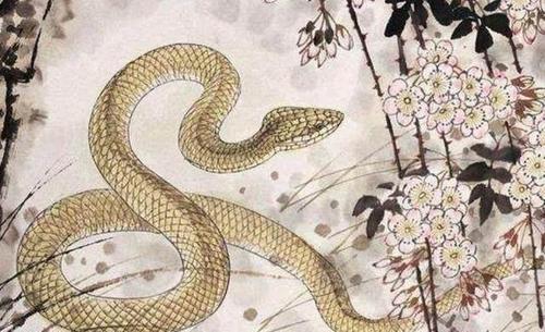 十二生肖运势之8月10日,蛇、龙、牛大吉! 图片2 十二生肖运势之8月10日,蛇、龙、牛大吉! 图片1