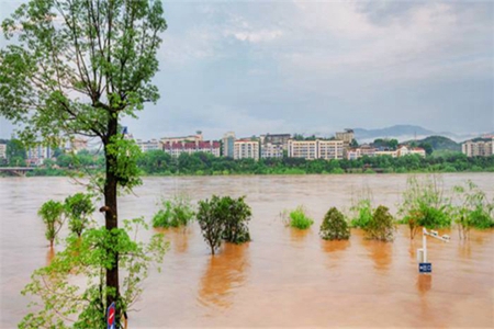 梦见下雨涨水是什么意思 它是一种凶兆吗 图片5