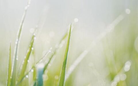 十二生肖运势之7月15日，马、兔、猪大吉！