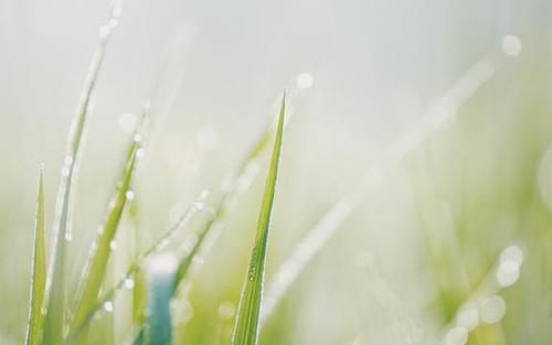 十二生肖运势之7月15日,马、兔、猪大吉! 图片2 十二生肖运势之7月15日,马、兔、猪大吉! 图片1
