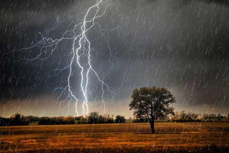 梦见下大雨 它预示着好运降临吗 图片4 梦见下大雨 它预示着好运降临吗 图片3