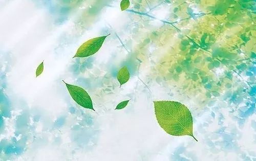 十二生肖运势之7月24日，鸡、猴、鼠大吉! 图片1