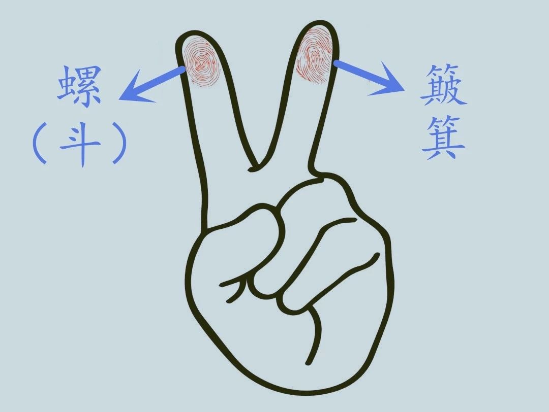 看你的手指有几个螺斗，命中就有多少财富 图片1