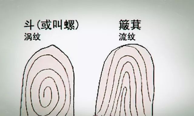 看你的手指有几个螺斗，命中就有多少财富 图片5