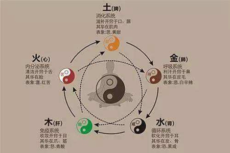 五脏与五行 五脏和五行之间有什么关系 图片2 五脏与五行 五脏和五行之间有什么关系 图片1