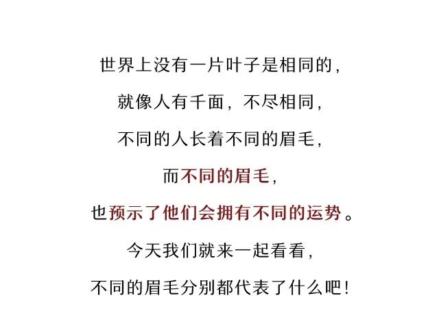 常见的眉毛和眉形，看看哪种更加聚财 图片3