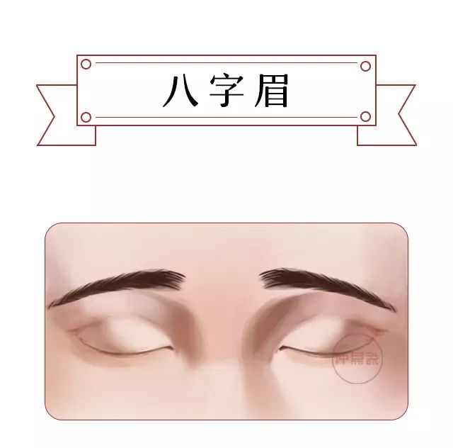 常见的眉毛和眉形，看看哪种更加聚财 图片5