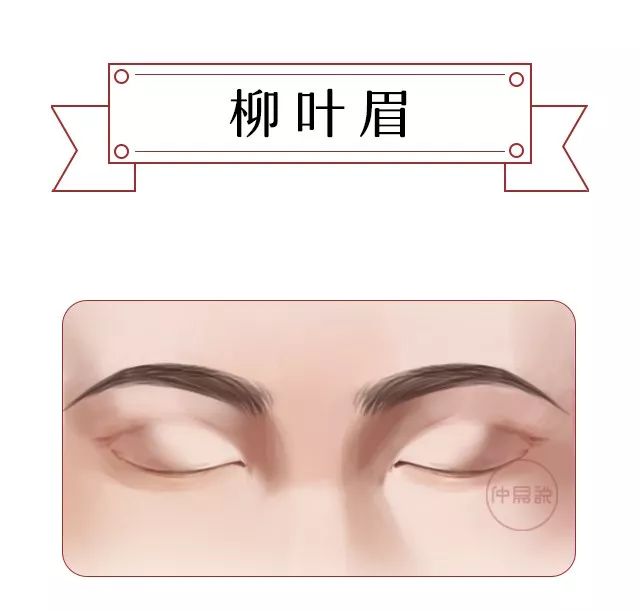 常见的眉毛和眉形，看看哪种更加聚财 图片9