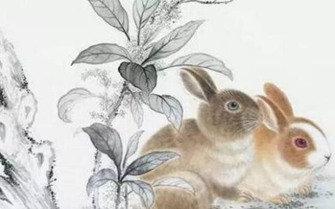 6月16日生肖运势_马、猪、狗大吉