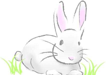 在十二生肖中,多福多寿,幸福无忧,不为钱发愁的4大生肖 图片16 在十二生肖中,多福多寿,幸福无忧,不为钱发愁的4大生肖 图片15