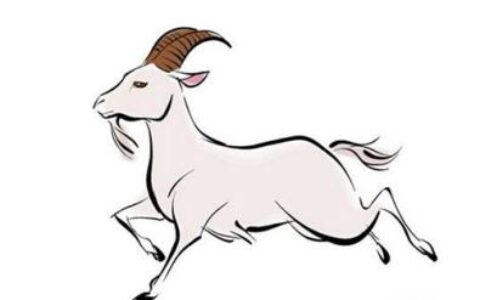 在十二生肖中，多福多寿，幸福无忧，不为钱发愁的4大生肖