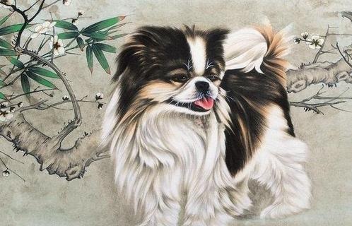 6月17日生肖运势_羊、蛇、狗大吉 图片3