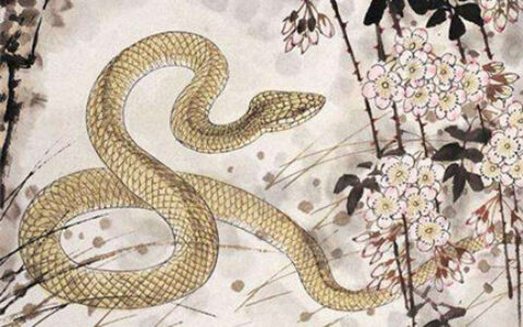 6月17日生肖运势_羊、蛇、狗大吉