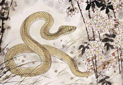 6月17日生肖运势_羊、蛇、狗大吉 图片5