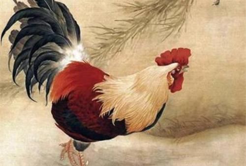 6月18日生肖运势_猴、鸡、鼠大吉 图片3