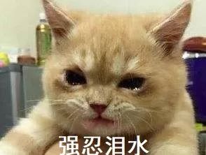 AI面相算命准不准？我们来聊聊它的科学性 图片23