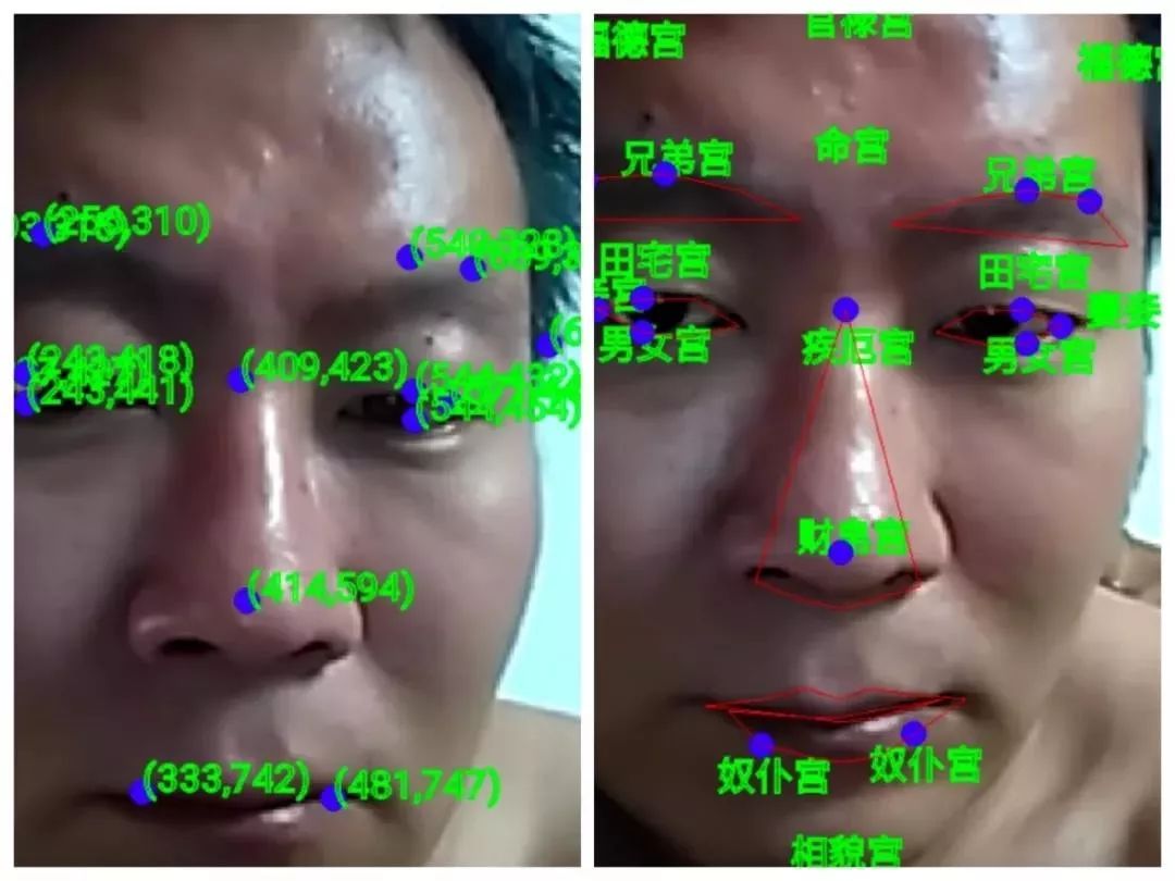 AI面相算命准不准？我们来聊聊它的科学性 图片29