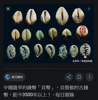 佛教常用的钱贝 图片12 佛教常用的钱贝 图片11