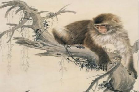 6月12日生肖运势_兔、虎、马大吉 图片4 6月12日生肖运势_兔、虎、马大吉 图片3