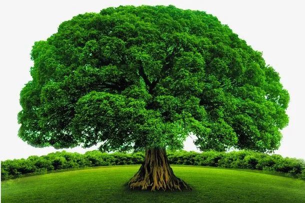 都说秉性难移，人各有命，是真的吗？ 图片7