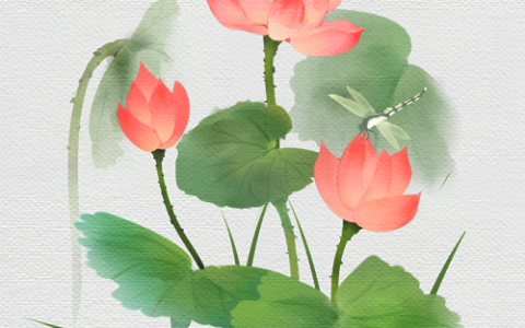 初夏充满希望的『辛巳月』月运