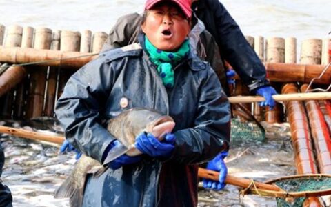 解梦梦见捕鱼的征兆 你的人生会幸福吗